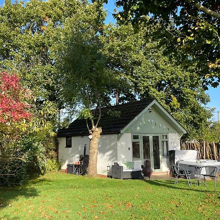 Pheasant Lodge Wimborne Minster Εξωτερικό φωτογραφία