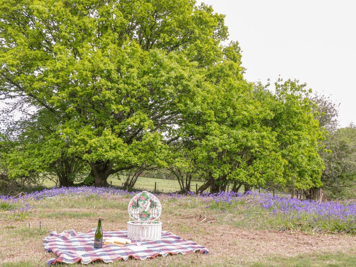 Pheasant Lodge Wimborne Minster Εξωτερικό φωτογραφία