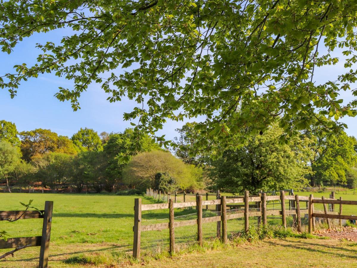 Pheasant Lodge Wimborne Minster Εξωτερικό φωτογραφία