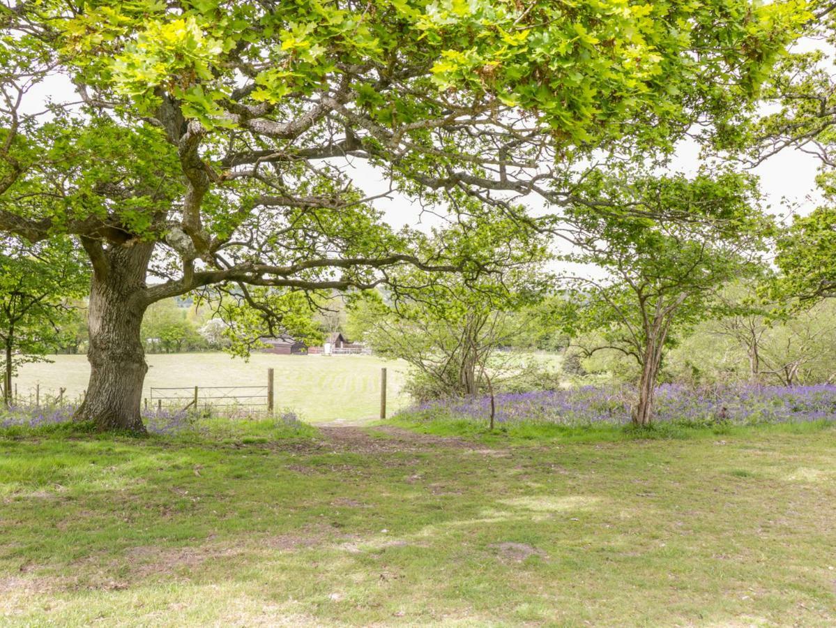 Pheasant Lodge Wimborne Minster Εξωτερικό φωτογραφία